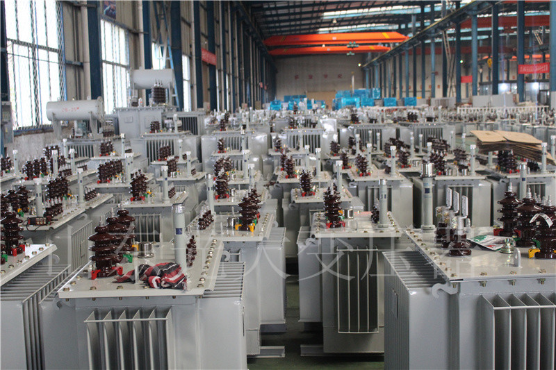 罗甸S22-800KVA/10KV