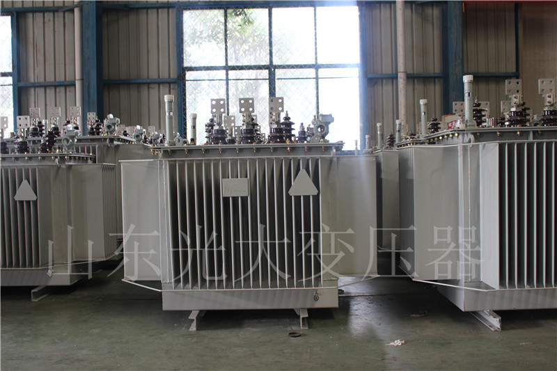 罗甸S20-500KVA/10KV